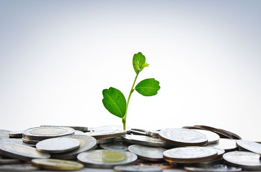 Plant Growing Between Coins Plant Growing Between Coins